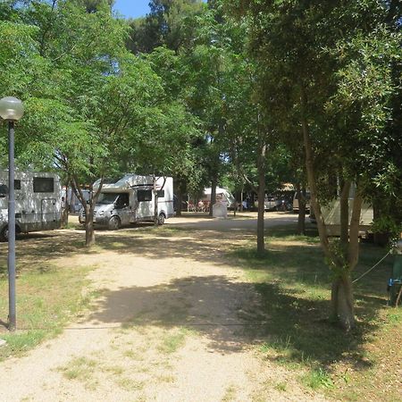 Camping Mia Bungalow & Mobile Home Biograd Na Moru Exteriör bild